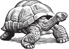 Turtle Rock Farms Logo